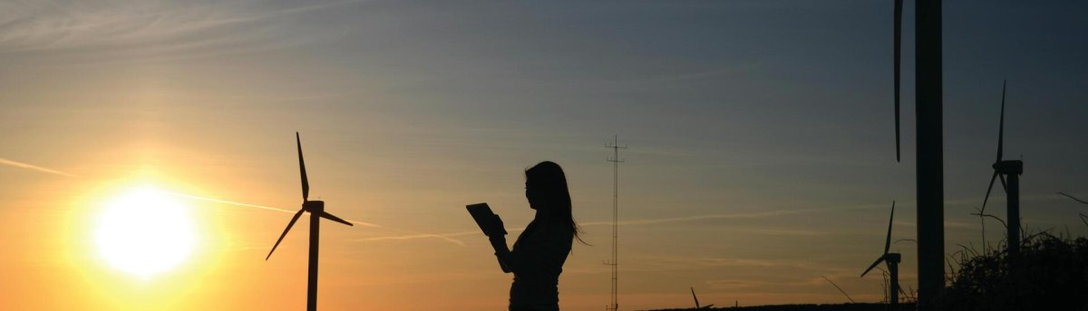 Rapport Développement durable 2024