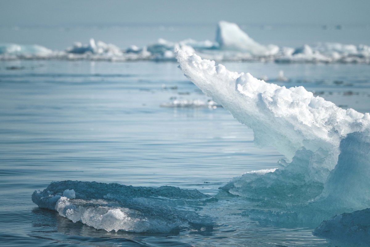 Semestre européen : l'adaptation des PME au changement climatique